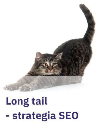 Pozycjonowanie long tail